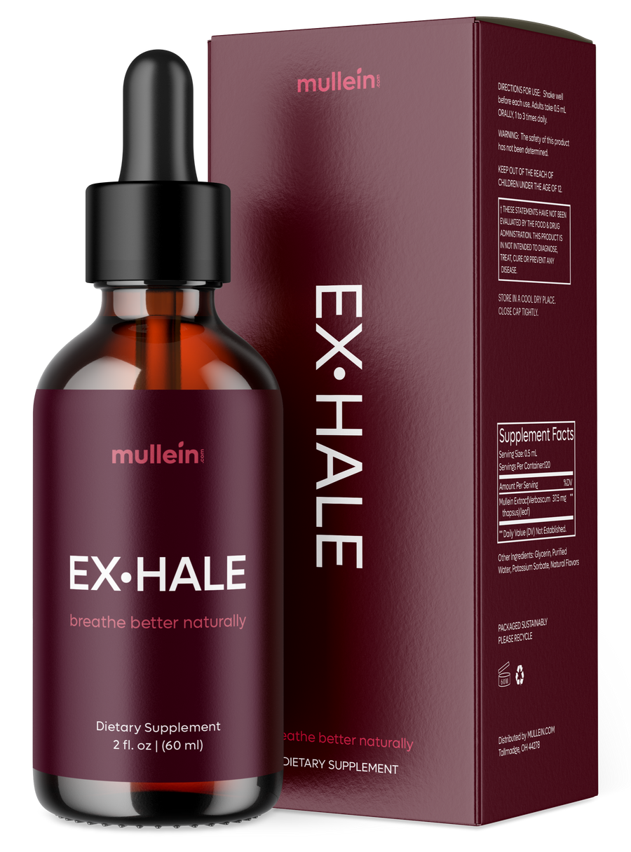EX•HALE